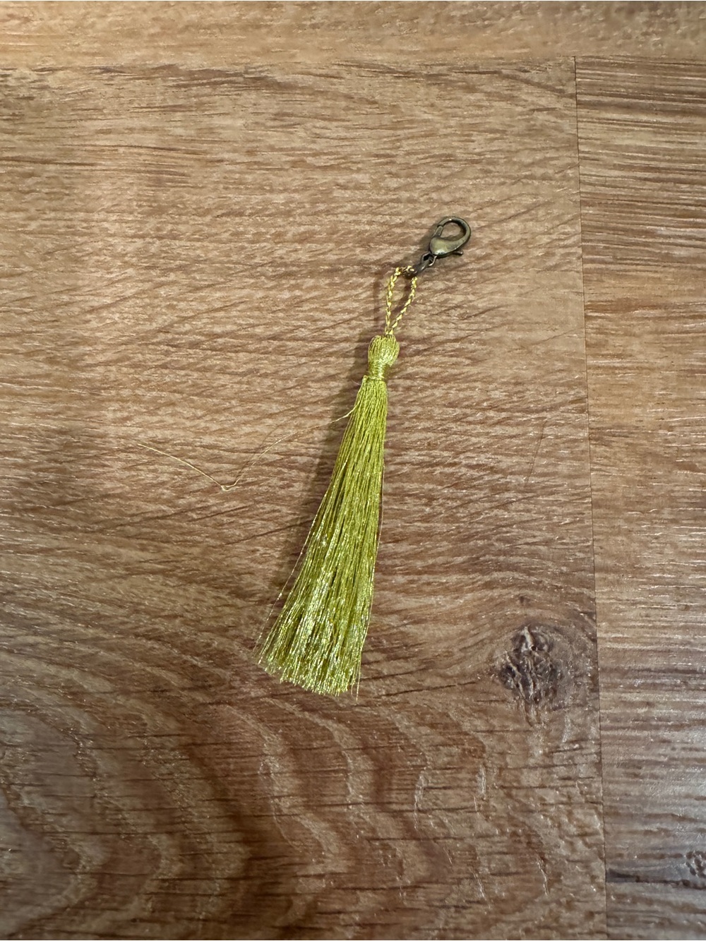 Gold Toned Tassel Charm Keychain